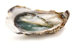 huitre