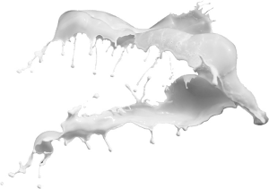 splash